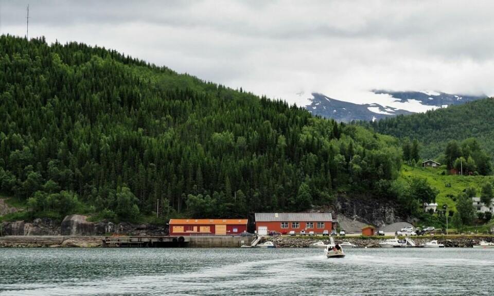 VIL TRYGGE GJESTENE. Galleri Eftf vil gjerne gjøre det tryggere å besøke Tvervik. Til det kan en hjertestarter komme godt med, mener Kurt Edvin Blix Hansen. VIL TRYGGE GJESTENE. Galleri Eftf vil gjerne gjøre det tryggere å besøke Tvervik. Til det kan en hjertestarter komme godt med, mener Kurt Edvin Blix Hansen. Foto: Harald Jentoft Strand