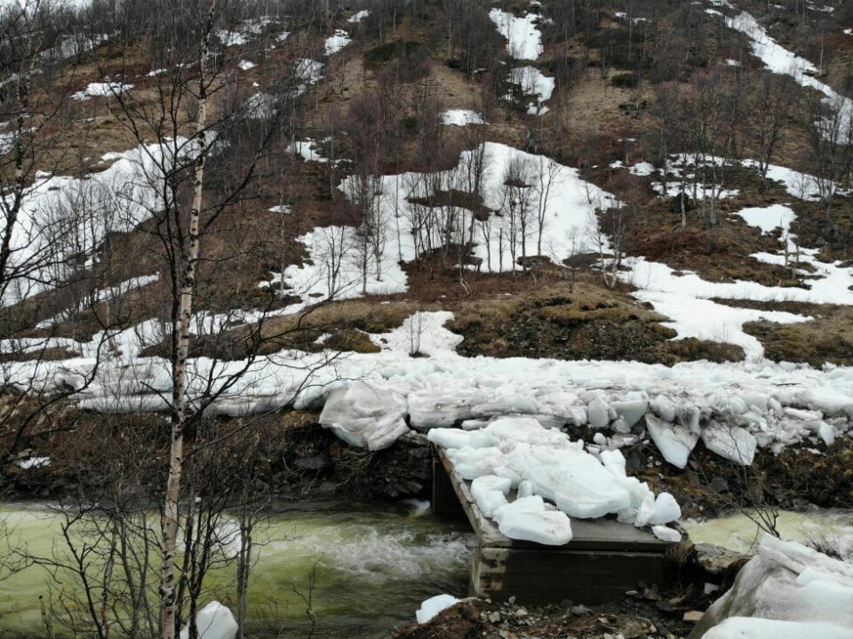 UBRUKELIG. De to bruene i Ner-Skaiti er i en sørgelig forfatning etter at vårflommen med isgang herjet med dem. UBRUKELIG. De to bruene i Ner-Skaiti er i en sørgelig forfatning etter at vårflommen med isgang herjet med dem. Foto: Erwin Harold Hissink