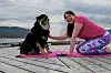 YOGA MED HUND. Linn forteller at hunden Lucky gjerne vil være tilstede der det skjer noe, så han dukker ofte opp på yogaøktene hennes. Han gjør gjerne en øvelse eller to, men liker helst å stjele ullsokker. Foto: Maria Edvardsen