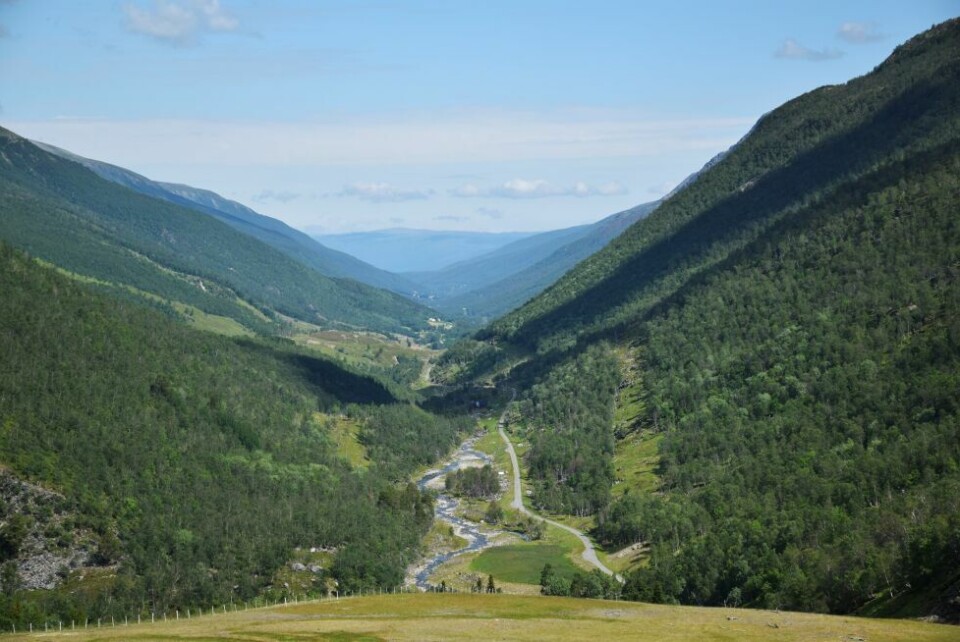 Beiardalen sett fra veis ende. Beiardalen sett fra veis ende.