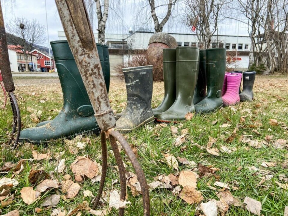 STERKT BUDSKAP. Støvlene bak høygaflene representerer en småbarnsfamilie som driver landbruk i Saltdal. STERKT BUDSKAP. Støvlene bak høygaflene representerer en småbarnsfamilie som driver landbruk i Saltdal.