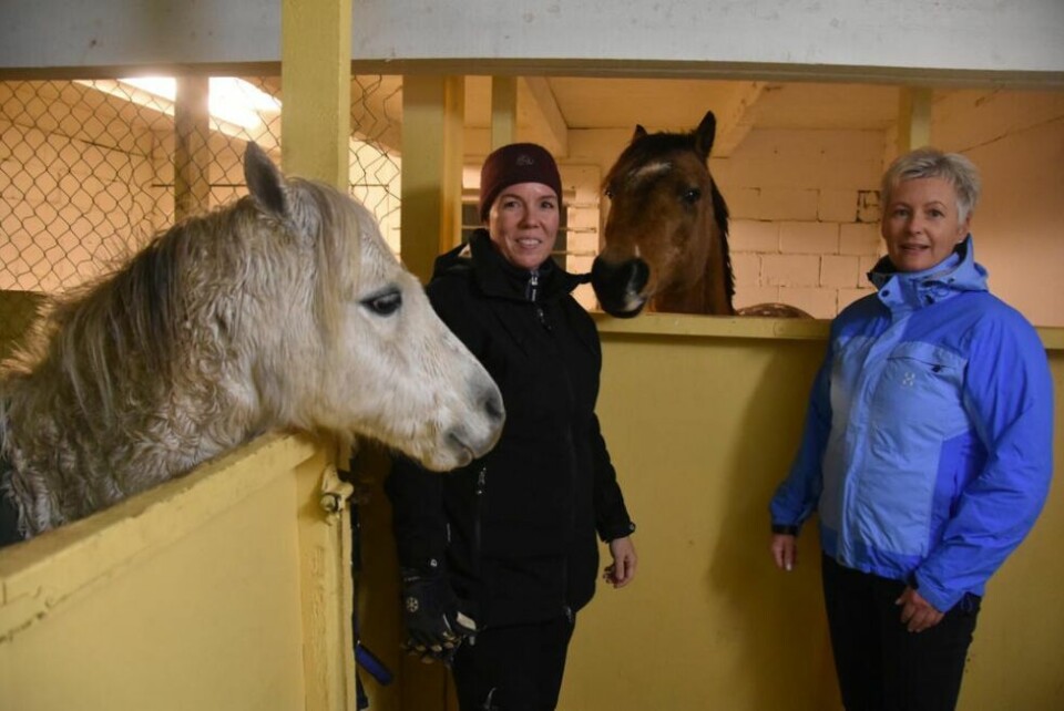 SAMARBEID. Marita Hammernes ved Hest i nord/Stall Elverhøy sammen med Siv Helskog i Gode Øyeblikk. Sammen starter de opp et tilbud for ensomme eldre. SAMARBEID. Marita Hammernes ved Hest i nord/Stall Elverhøy sammen med Siv Helskog i Gode Øyeblikk. Sammen starter de opp et tilbud for ensomme eldre. Foto: Arkiv/Sylvia Bredal