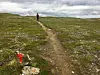 NORDLANDSRUTA. Etappen fra fra Balvassnytta mot Tjoarvi er en fin tur. Foto: Bjørn Are Melvik
