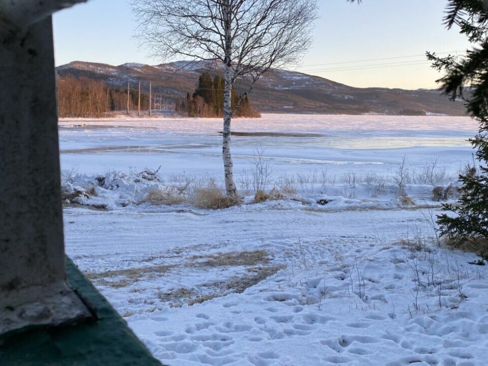 VED HYTTA. Magne Strømhaug arbeidet like ved hytta nedenfor gården sin på Strømhaugen, da han så kvinnen forsvinne ned i ei råk. VED HYTTA. Magne Strømhaug arbeidet like ved hytta nedenfor gården sin på Strømhaugen, da han så kvinnen forsvinne ned i ei råk.