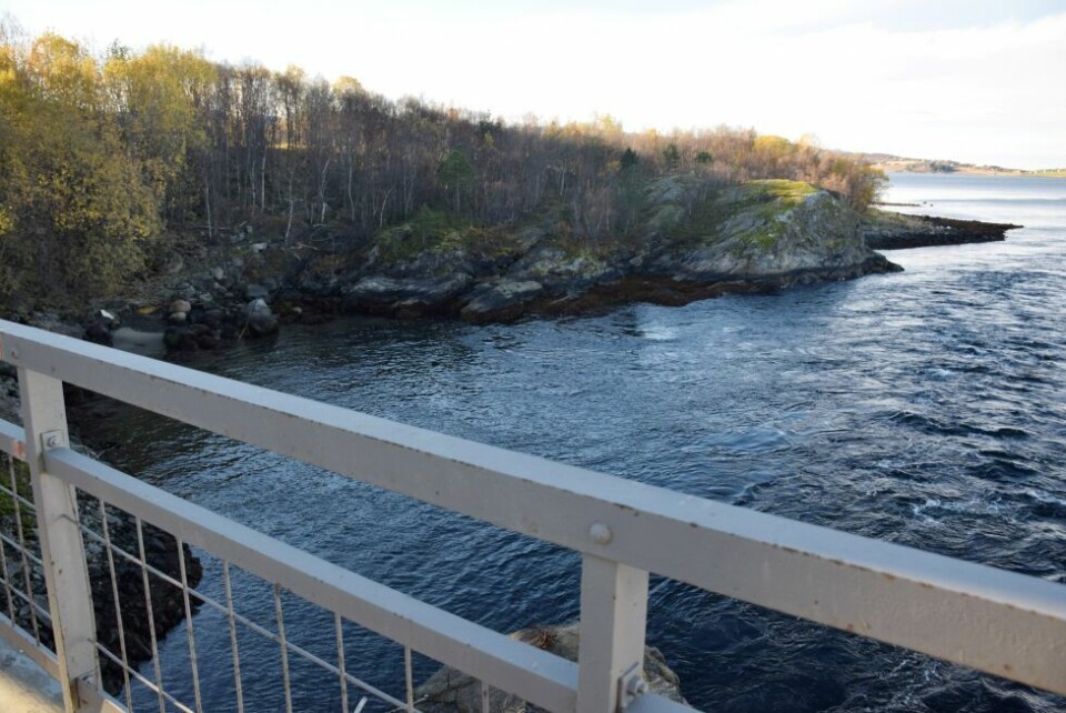 PÅ LETING. I dette området utenfor Finneidsttraumen på Fauske skal en førerløs båt ha blitt observert. PÅ LETING. I dette området utenfor Finneidsttraumen på Fauske skal en førerløs båt ha blitt observert. Foto: Frida Kalbakk