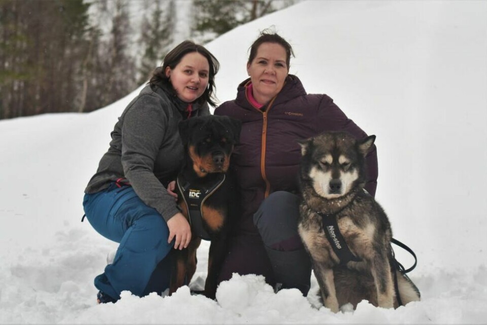 MÅ STENGE. I dag er det Linn Andreassen (t.v.) og Hanne Sandberg som driver hunde- og kattepensjonatet på Sjønståmoen mellom Fauske og Sulitjelma. Planen var å selge bedriften eller legge ned etter sommeren, men nå må de slå firmaet konkurs. MÅ STENGE. I dag er det Linn Andreassen (t.v.) og Hanne Sandberg som driver hunde- og kattepensjonatet på Sjønståmoen mellom Fauske og Sulitjelma. Planen var å selge bedriften eller legge ned etter sommeren, men nå må de slå firmaet konkurs.