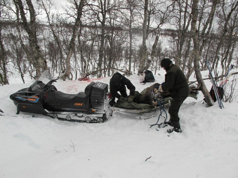 ROS OG KRITIKK. Stortingsrepresentant Siv Mossleth (Sp) fra Saltdal får både ros og ris fordi hun har vært med og fjernet regelen om at avstanden mellom bilvei og hytta minst må være 2,5 kilomter for å få kjøre bagasje med snøskuter. ROS OG KRITIKK. Stortingsrepresentant Siv Mossleth (Sp) fra Saltdal får både ros og ris fordi hun har vært med og fjernet regelen om at avstanden mellom bilvei og hytta minst må være 2,5 kilomter for å få kjøre bagasje med snøskuter. Foto: Frank Øvrewall