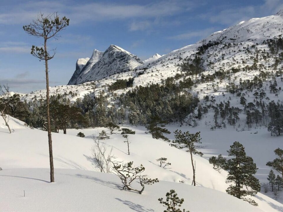 Uvanlig mye snø i fjellet i vinterferienBladtjønna i Sjunkhatten nasjonalpark.