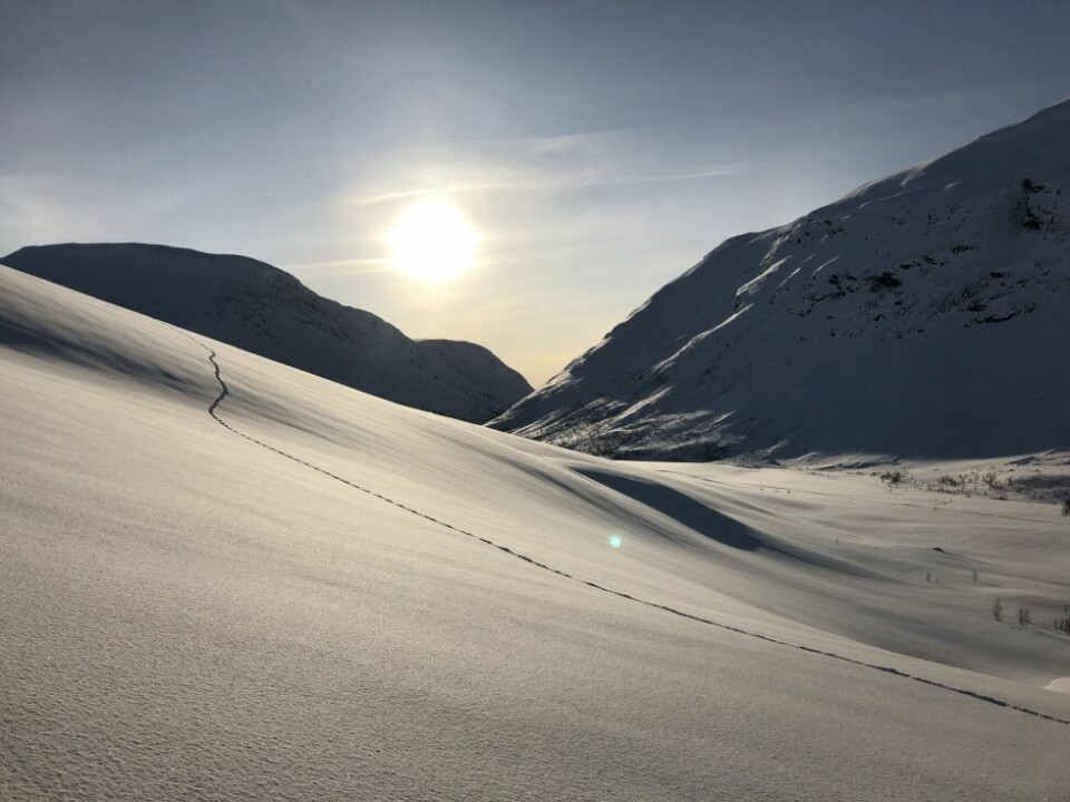 Uvanlig mye snø i fjellet i vinterferienJervspor gjennom Skaitidalen.