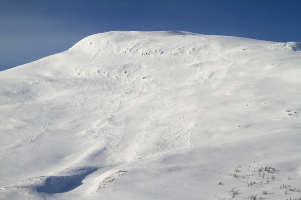 Uvanlig mye snø i fjellet i vinterferienFerskt snøskred i Skaitidalen, Junkerdal nasjonalpark.