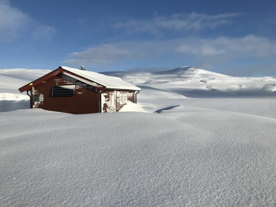 Uvanlig mye snø i fjellet i vinterferienHYTTE. Bjellåvasstua, Saltfjellet.