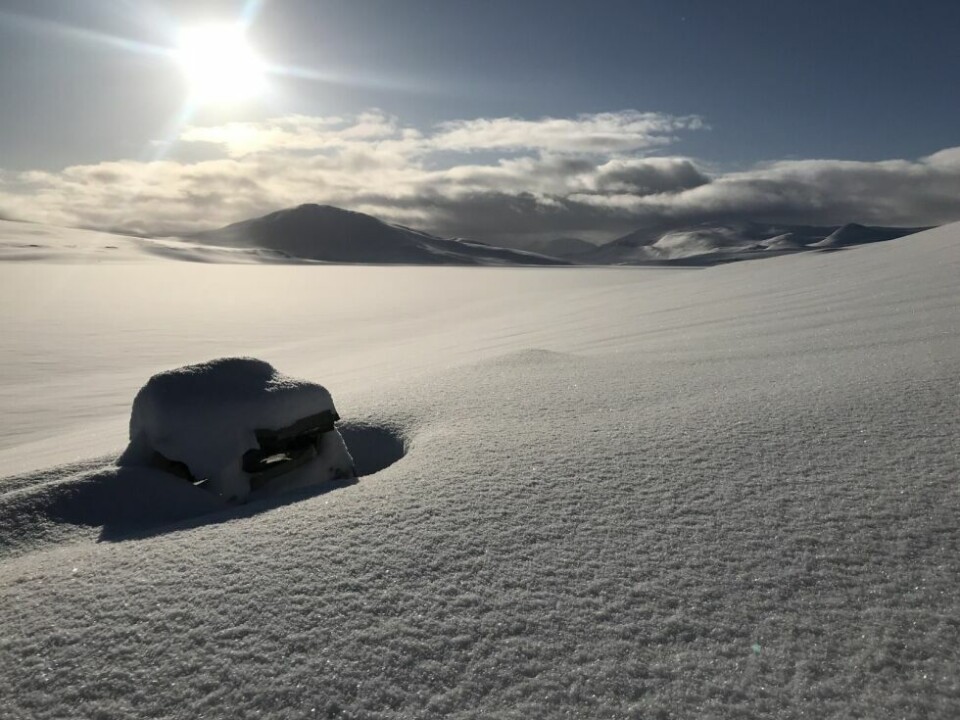 Uvanlig mye snø i fjellet i vinterferienOPP AV SNØEN. Bare pipa på Steinstua ved Nordre Bjøllåvatnet stikker opp.