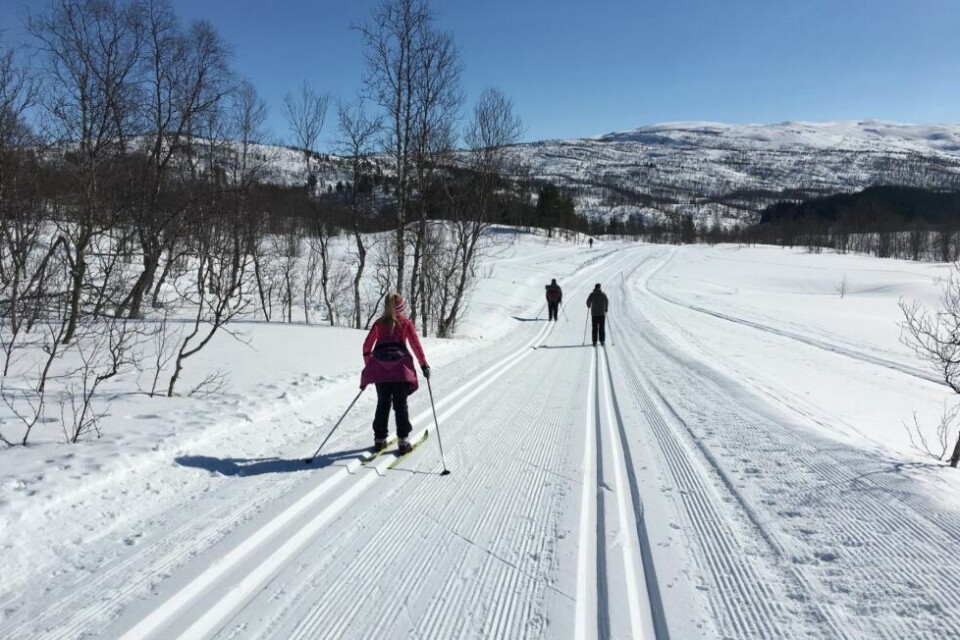 GODT VÆR. For de som har mulighet i vinterferieuka, er det meldt stort sett sol, minusgrader og opphold. Bildet er fra Fridalen i Øvre Valnesfjord. Arkivfoto: Eva S. Winther GODT VÆR. For de som har mulighet i vinterferieuka, er det meldt stort sett sol, minusgrader og opphold. Bildet er fra Fridalen i Øvre Valnesfjord. Arkivfoto: Eva S. Winther