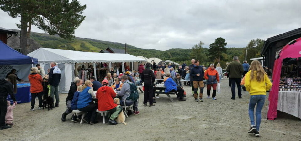 MYE FOLK. Fjellet for alle ble en suksess i Daja i fjor. I helga er det klar for en ny utgave lørdag 31. august. MYE FOLK. Fjellet for alle ble en suksess i Daja i fjor. I helga er det klar for en ny utgave lørdag 31. august. Foto: Foto: Bjørn Thomas Hansen