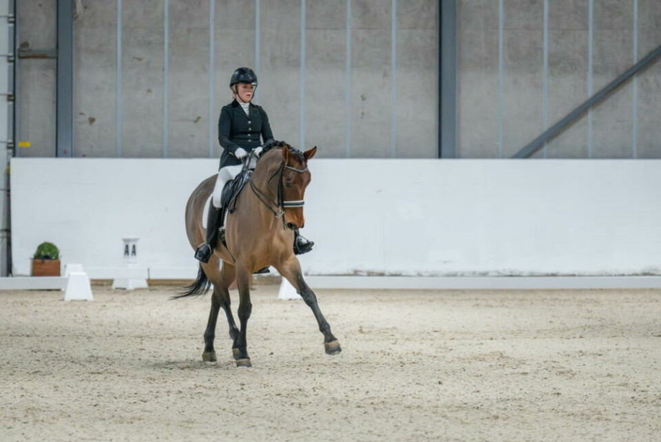 GODT FORNØYD. Isa Martine Eftevand Orvin fra Fauske og hesten Injoy fikk en første og en andreplass på elitestevne i dressur sist helg. - Det var helt fantastisk, sier hun. GODT FORNØYD. Isa Martine Eftevand Orvin fra Fauske og hesten Injoy fikk en første og en andreplass på elitestevne i dressur sist helg. - Det var helt fantastisk, sier hun. Foto: Kristian Strøm / equipephoto