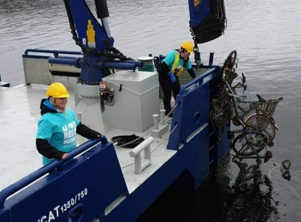 MYE RART. Victoria Olsen Solbakk fra Wenberg fiskeoppdrett styrer kranen mens Gro-Anita Olsen fra TV-aksjonskomiteen følger med på den litt spesielle fangsten bestående av handlevogner og sykler. MYE RART. Victoria Olsen Solbakk fra Wenberg fiskeoppdrett styrer kranen mens Gro-Anita Olsen fra TV-aksjonskomiteen følger med på den litt spesielle fangsten bestående av handlevogner og sykler. Foto: Siv-Lillian Johansen