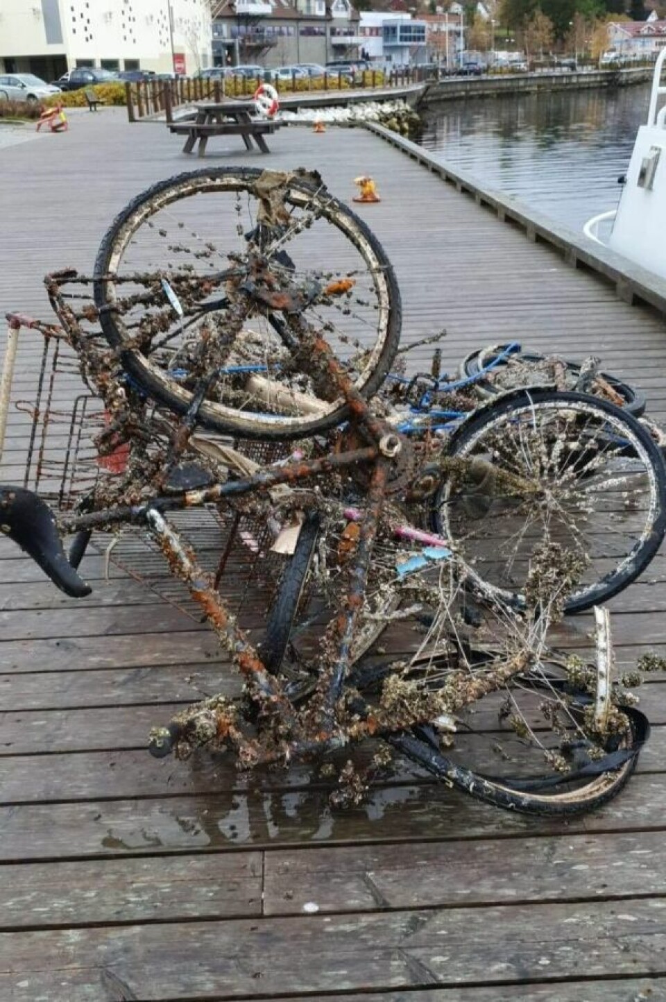 MYE SKROT. Det ligger fortsatt mye skrot og metallskrap igjen i sjøen utenfor strandpromenaden på Fauske. MYE SKROT. Det ligger fortsatt mye skrot og metallskrap igjen i sjøen utenfor strandpromenaden på Fauske. Foto: Gro-Anita Olsen