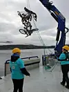 FANGST MED HJUL. Gro-Anita Olsen og Victoria Olsen Solbakk følger med når den uvanlige fangsten dras opp av sjøen. Foto: Renee Normann