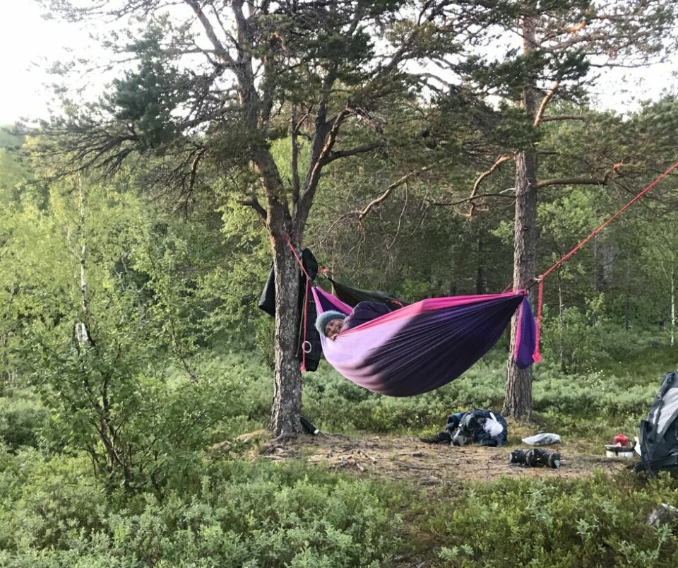 SOVER I KØYE. Mange har funnet mye glede i å sove ute i naturen under åpen himmel, i en hengekøye. SOVER I KØYE. Mange har funnet mye glede i å sove ute i naturen under åpen himmel, i en hengekøye. Foto: Maria Edvardsen