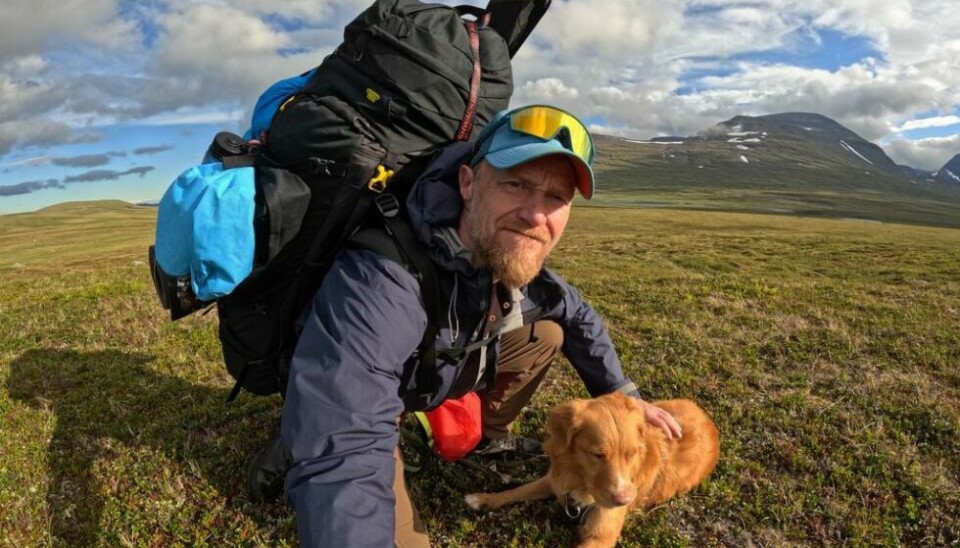 I skogene i dalbunnene har det vært noen insekter, men ikke i nærheten av mengdene på Finnmarksvidda og i Reisadalen, oppsummerer Geir Wenberg. I snaufjellet har det vært lite insekter, kanskje fordi noen arter er på hell og været har vært tørrere. - Heldigvis har vi stort sett unngått kleggen. Været har for det meste vært på vår side, selv om litt regn av og til må takles. I skogene i dalbunnene har det vært noen insekter, men ikke i nærheten av mengdene på Finnmarksvidda og i Reisadalen, oppsummerer Geir Wenberg. I snaufjellet har det vært lite insekter, kanskje fordi noen arter er på hell og været har vært tørrere. - Heldigvis har vi stort sett unngått kleggen. Været har for det meste vært på vår side, selv om litt regn av og til må takles. Foto: Privat