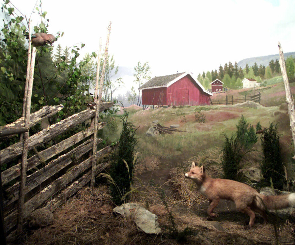 En skigard kan være et vakkert element i et klassisk maleri, men også en metafor for fordommer eller stengsler vi har inni oss. Stanley Jacobsen har satt ord på det i låten 'Skigardsvise', som kanskje handler om noe annet enn du først tenkte? En skigard kan være et vakkert element i et klassisk maleri, men også en metafor for fordommer eller stengsler vi har inni oss. Stanley Jacobsen har satt ord på det i låten 'Skigardsvise', som kanskje handler om noe annet enn du først tenkte? Foto: Bjørn Sigurdsøn / NTB