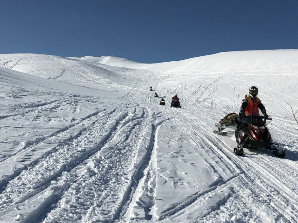 UT I LØYPA. Turistløypa mot Sverige fra Sulis er nå åpen for ferdsel. UT I LØYPA. Turistløypa mot Sverige fra Sulis er nå åpen for ferdsel. Foto: Helge Simonsen