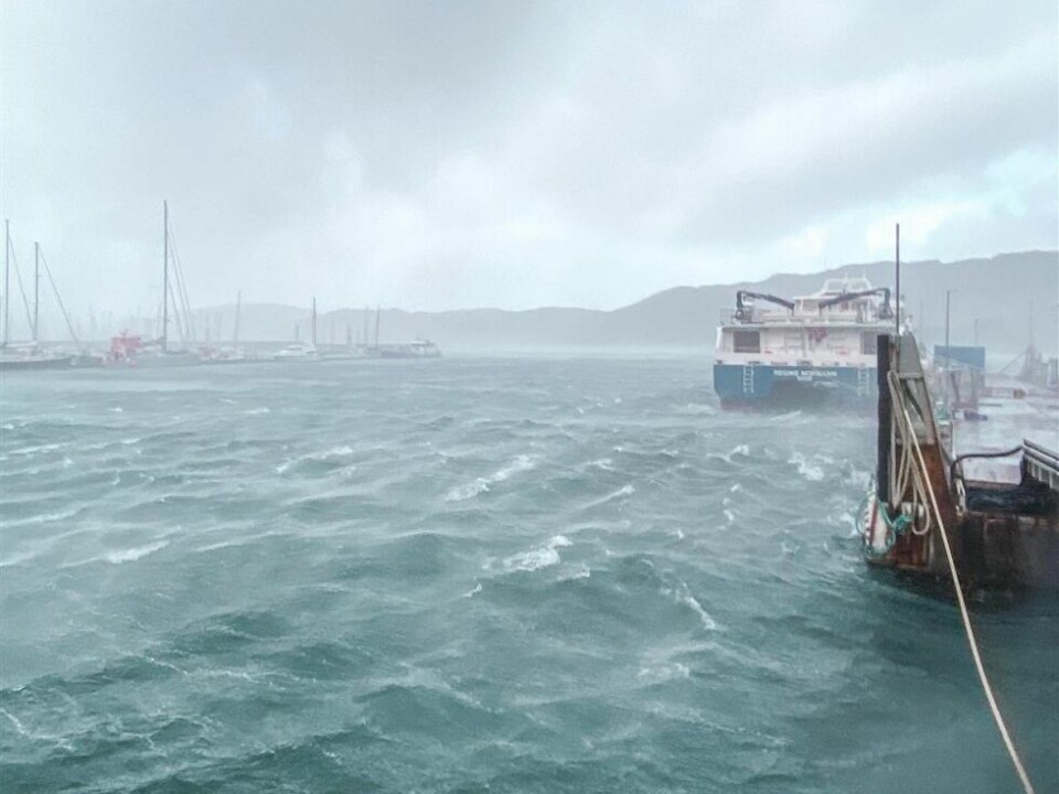 Uvær kan ramme kollektivtrafikken Foto: Isabell Grønnslett / Nordland fylkeskommune