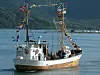 FESTKLEDD. Her er 'Blomøy' på vei ut fjorden under Trebåtdagan på Rognan et år.