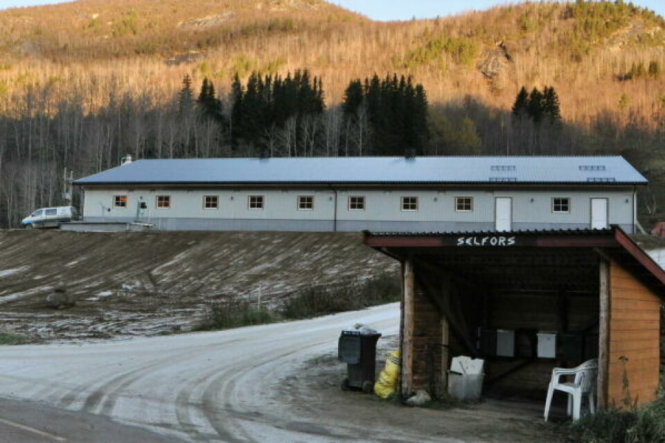 GODT UTGANGSPUNKT. Det nye fjøset hos Anne Maren Wasmuth og Bjørn Vilhelmsen på Selfors i Beiarn gjør at det ligger an til mange flere år med melkeproduksjon i bygda. GODT UTGANGSPUNKT. Det nye fjøset hos Anne Maren Wasmuth og Bjørn Vilhelmsen på Selfors i Beiarn gjør at det ligger an til mange flere år med melkeproduksjon i bygda. Foto: Lars Olav Handeland