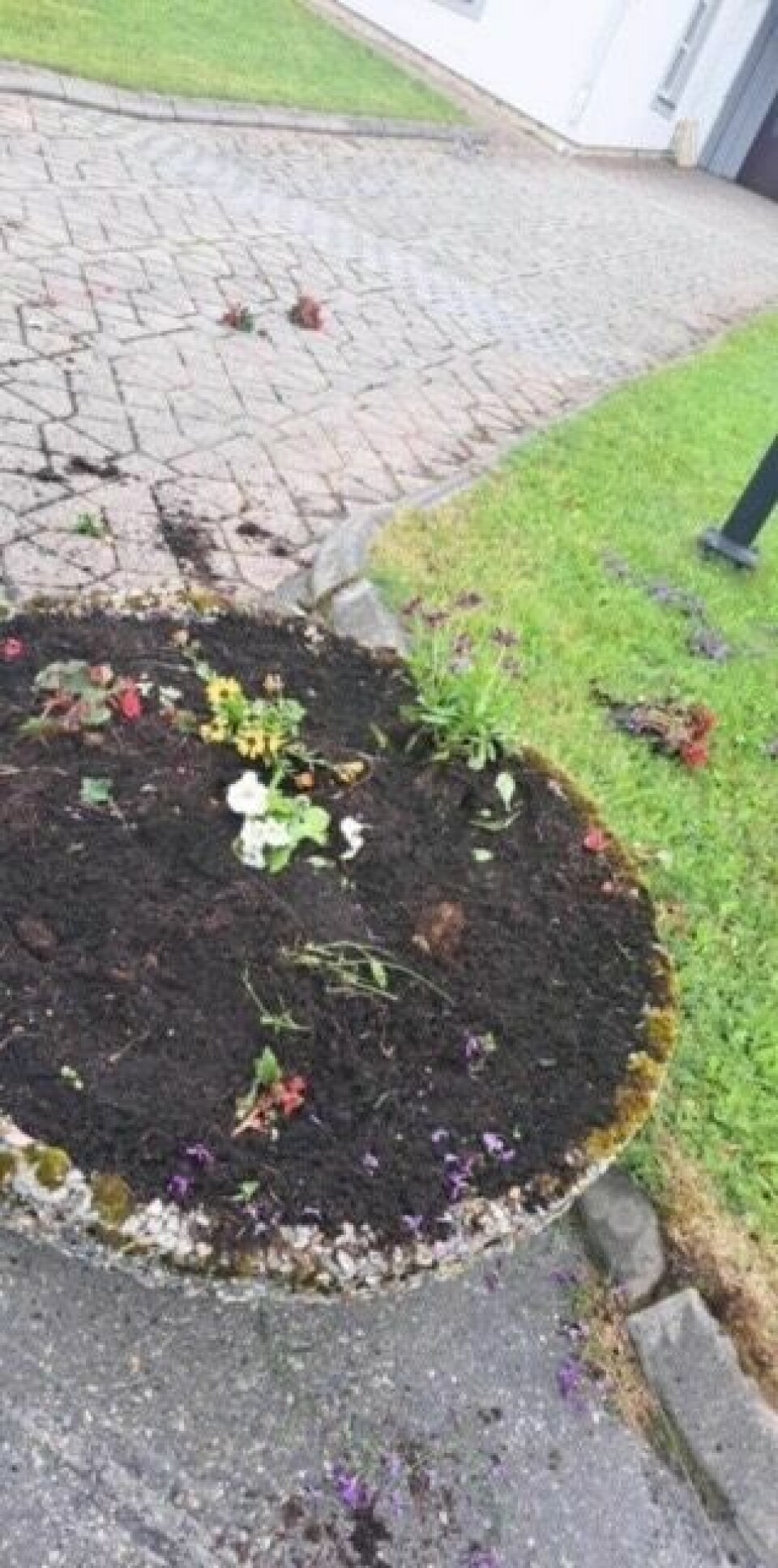 KJØPT INN. Her var det fyldige blomsterkrukker som de ansatte i kommunen selv hadde betalt for å få på plass. KJØPT INN. Her var det fyldige blomsterkrukker som de ansatte i kommunen selv hadde betalt for å få på plass. Foto: Fauske kommune