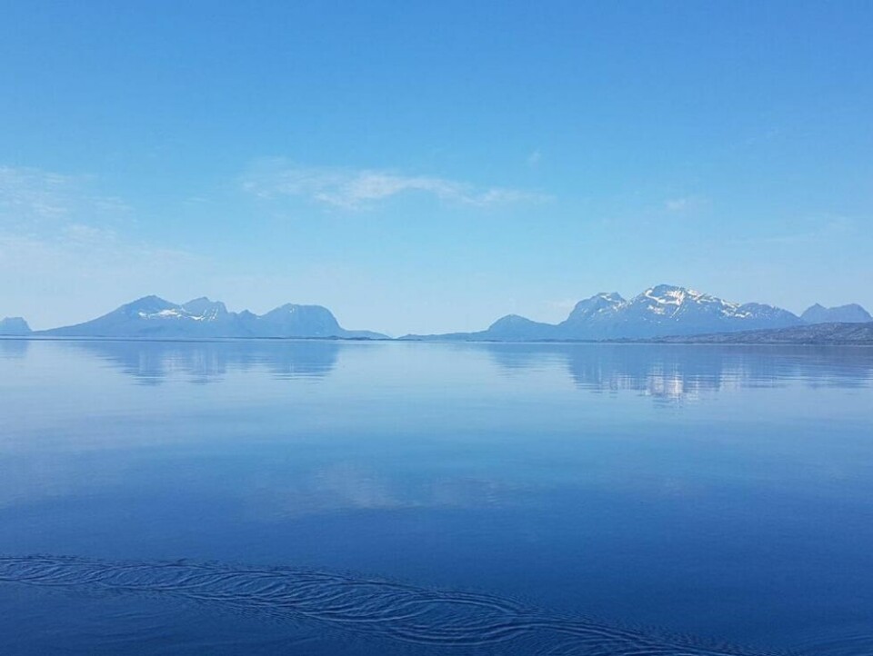 PERLE. Litt til høyre for midten av bildet ligger Skutvik og helt til venstre Engeløya. PERLE. Litt til høyre for midten av bildet ligger Skutvik og helt til venstre Engeløya. Foto: Ole Oddvar Johansen