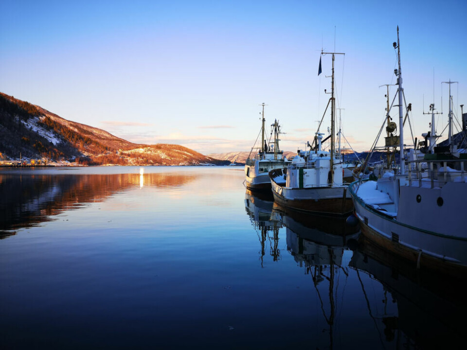 SaltenblikkPå Rognan i Saltdal torsdag, på dagen hvor solen returnerte og dagene nå blir lysere og lysere, var det friskt å fint ute. Temperatur på rundt tre minusgrader i luften og flau vind fra sørvest.