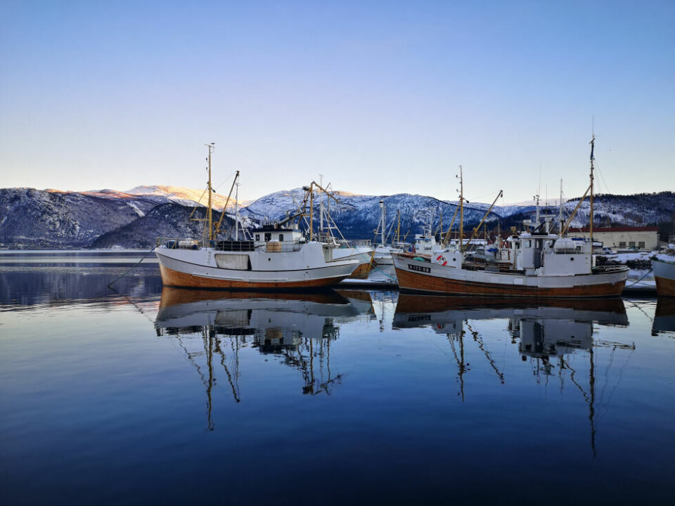 SaltenblikkPå Rognan i Saltdal torsdag, på dagen hvor solen returnerte og dagene nå blir lysere og lysere, var det friskt å fint ute. Temperatur på rundt tre minusgrader i luften og flau vind fra sørvest.