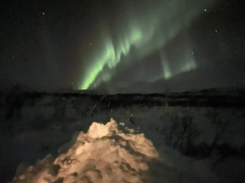 SaltenblikkBildet tatt 13.01.2023 klokken 22.50 NBCC Golan, Saltfjellet.