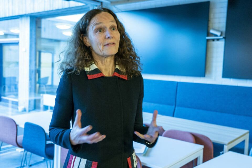 – Vi venter at virus som ikke har vært i omløp på flere år vil vende tilbake. Dette er virus som vi har lite beskyttelse mot, og det gjelder særlig små barn, sier Camilla Stoltenberg i FHI. – Vi venter at virus som ikke har vært i omløp på flere år vil vende tilbake. Dette er virus som vi har lite beskyttelse mot, og det gjelder særlig små barn, sier Camilla Stoltenberg i FHI. Foto: Terje Pedersen / NTB