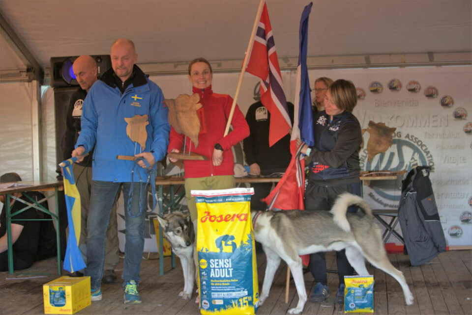SEIER. Her er Veronica flankert av sølv- og bronsevinner fra henholdsvis Sverige og Frankrike. SEIER. Her er Veronica flankert av sølv- og bronsevinner fra henholdsvis Sverige og Frankrike. Foto: Ronny Teigås