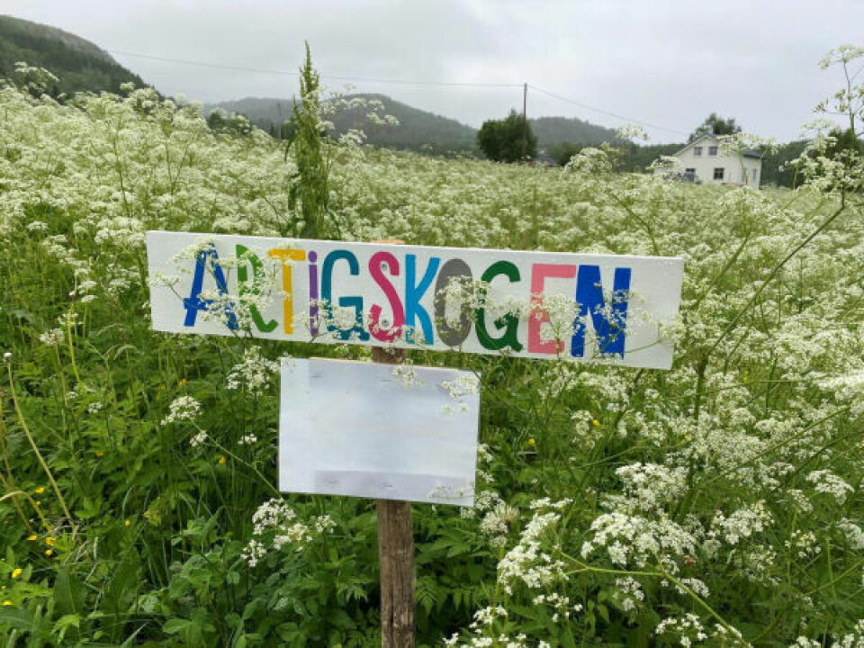 NY ADKOMST. I år er det ny adkomst til området. Man finner info på Facebook-siden og instagram, samt på oppslag ved Strøksnes handel. NY ADKOMST. I år er det ny adkomst til området. Man finner info på Facebook-siden og instagram, samt på oppslag ved Strøksnes handel. Foto: Eva S. Winther