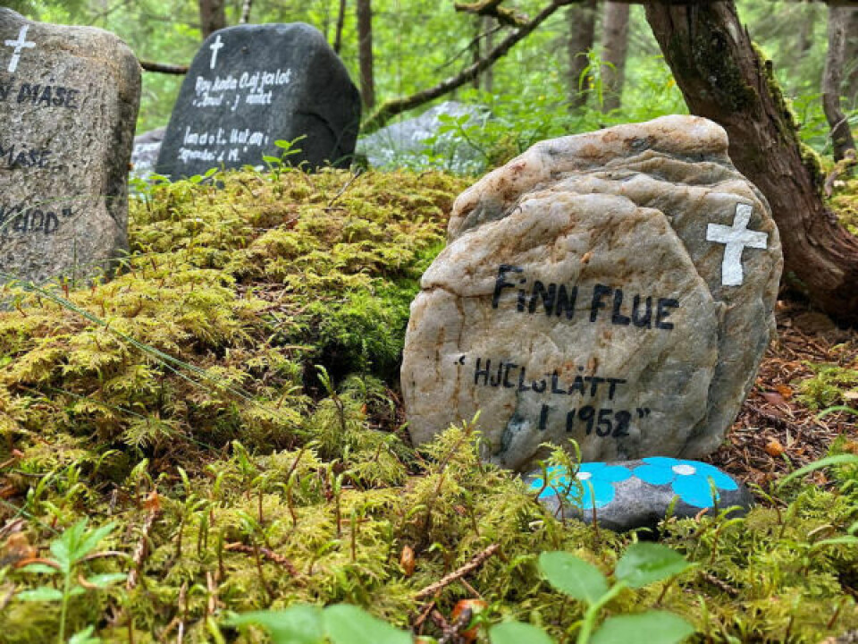 HUMOR. På gravsteinen til Finn Flue går det fram at han ble ihjelslått i 1952. HUMOR. På gravsteinen til Finn Flue går det fram at han ble ihjelslått i 1952. Foto: Eva S. Winther