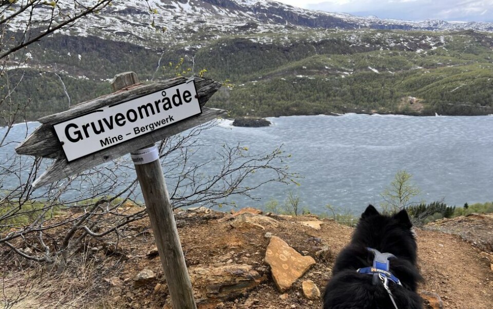 Utsikten oppe i høyden er det ikke noe å si på. Utsikten oppe i høyden er det ikke noe å si på. Foto: Espen Johansen