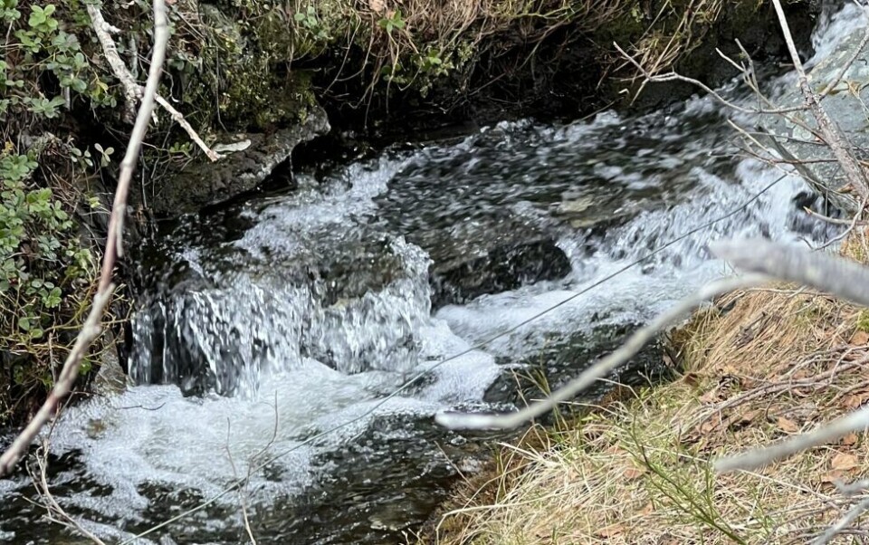 Både lyden og synet av en bekk er fint å ha med seg. Både lyden og synet av en bekk er fint å ha med seg. Foto: Espen Johansen