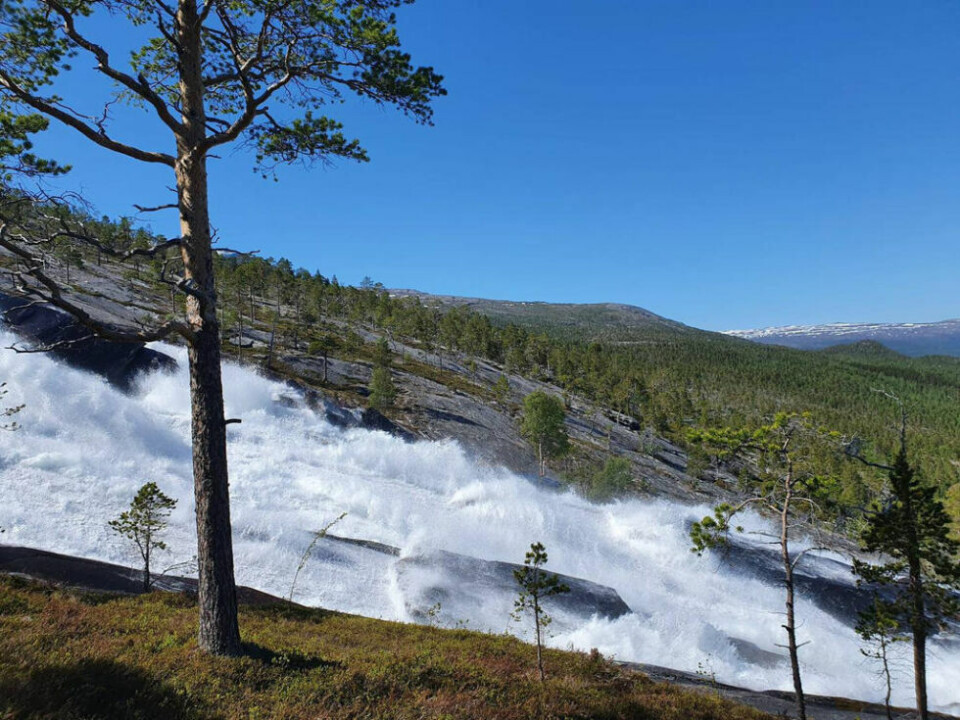 LUFTIG OG VÅTT. På våren er det en nydelig utsikt mot Kjemåfossen. LUFTIG OG VÅTT. På våren er det en nydelig utsikt mot Kjemåfossen. Foto: Solveig Strøm