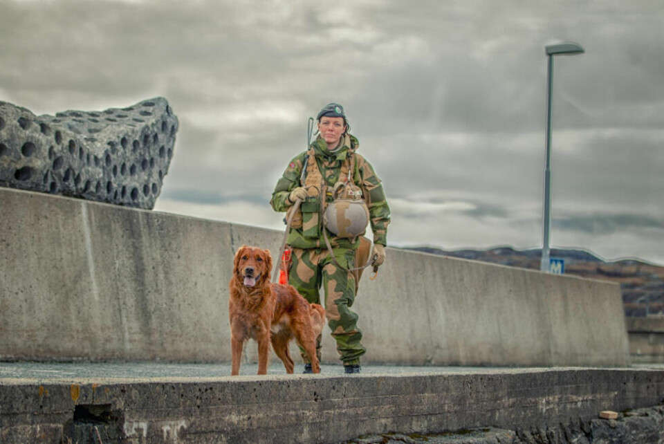 PÅ MOLOEN. Under HV-øvelsen i Salten øvde innstasstyrke Heron på bypatrulje. Her er en soldat på moloen i Bodø. PÅ MOLOEN. Under HV-øvelsen i Salten øvde innstasstyrke Heron på bypatrulje. Her er en soldat på moloen i Bodø. Foto: Per-Inge Johnsen/Forsvaret