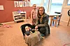 FORNØYD I MENGDER. Mamma Ine Adelen Grimsø (29) og datteren Astrid (3) er storfornøyd med Stemland gårdsbarnehage. Her med lillebor Halvor på åtte måneder. Foto: Kenneth Strømsvåg