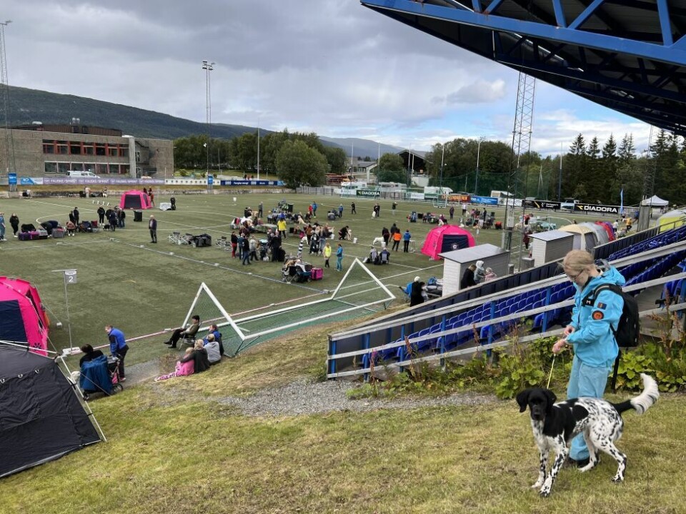 HundeutstillingHundeutstilling på Fauske