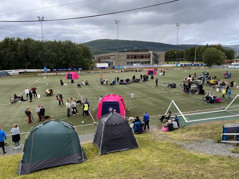 HundeutstillingHundeutstilling på Fauske