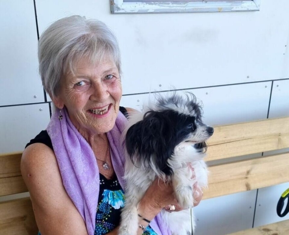 SUPERMOTIVERT. Birgit Nylund er superklar for Påskeglede i Fauske. Her er hun med papillonen Tass. SUPERMOTIVERT. Birgit Nylund er superklar for Påskeglede i Fauske. Her er hun med papillonen Tass. Foto: Privat