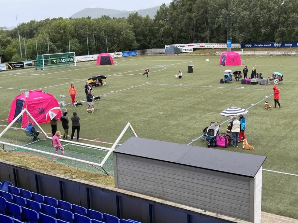 HundeutstillingHundeutstilling på Fauske