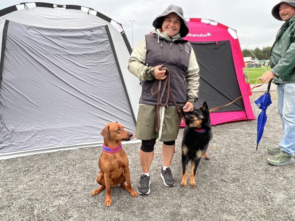 HundeutstillingVibeke Pettersen fra Hammerfest med Shanti (2 1/2) som er en Chodsky Pes (til høyre) og pincheren Nitro (9) til venstre. Nitro har en virkelig imponerende tittelrekke.