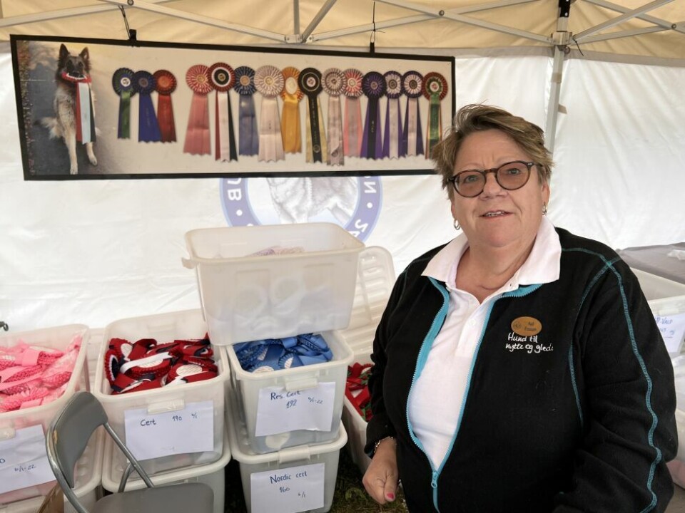 HundeutstillingAud Fossum sørger for at de som trenger premier får det.