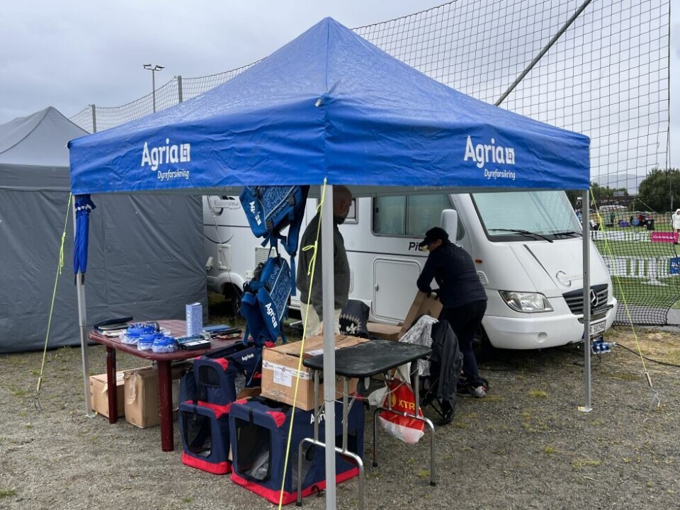 HundeutstillingHundeutstilling på Fauske